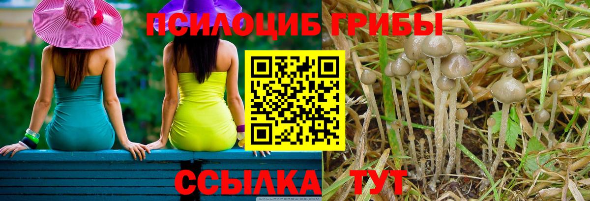 Псилоцибиновые грибы прущие грибы Ялуторовск