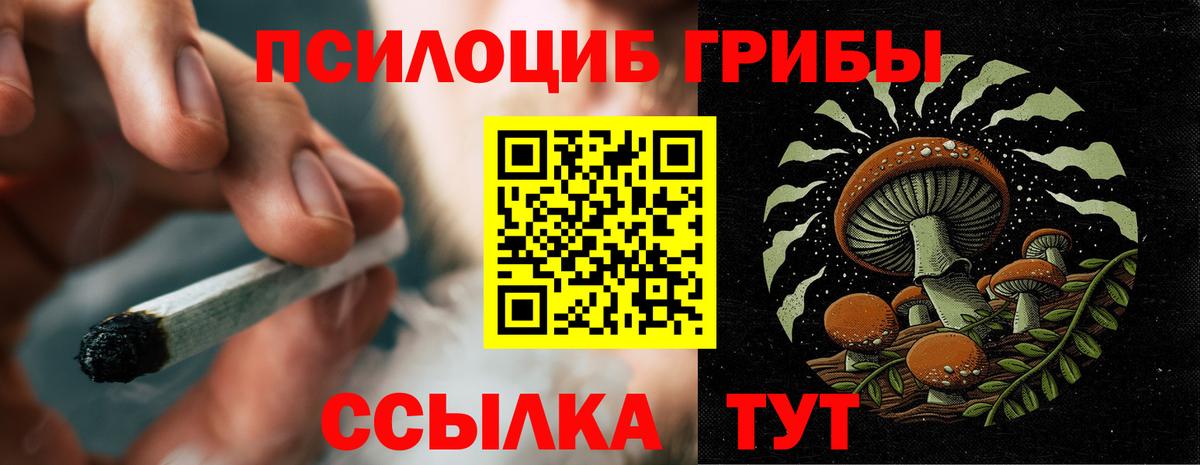 Псилоцибиновые грибы мицелий  Вход с VPN  Ялуторовск  Псилоцибиновые грибы Psilocybe 